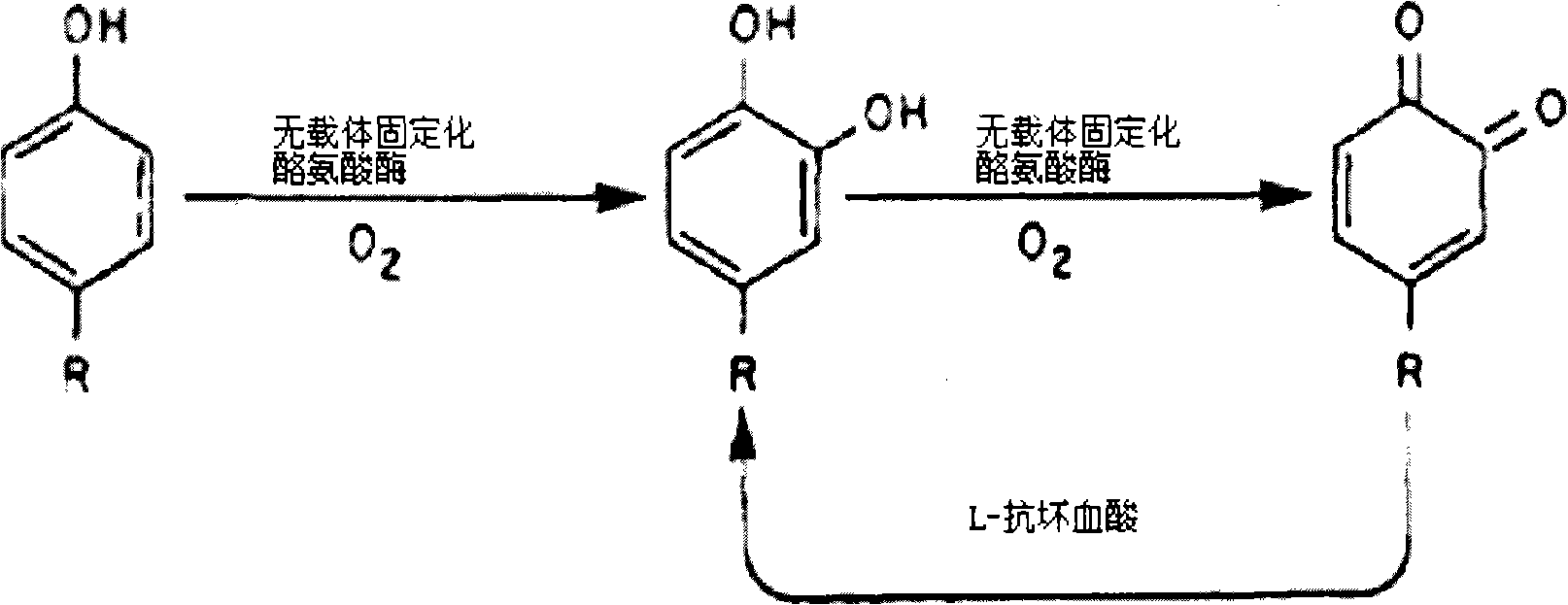 Method for synthesizing medicament L-dopa by enzyme catalysis