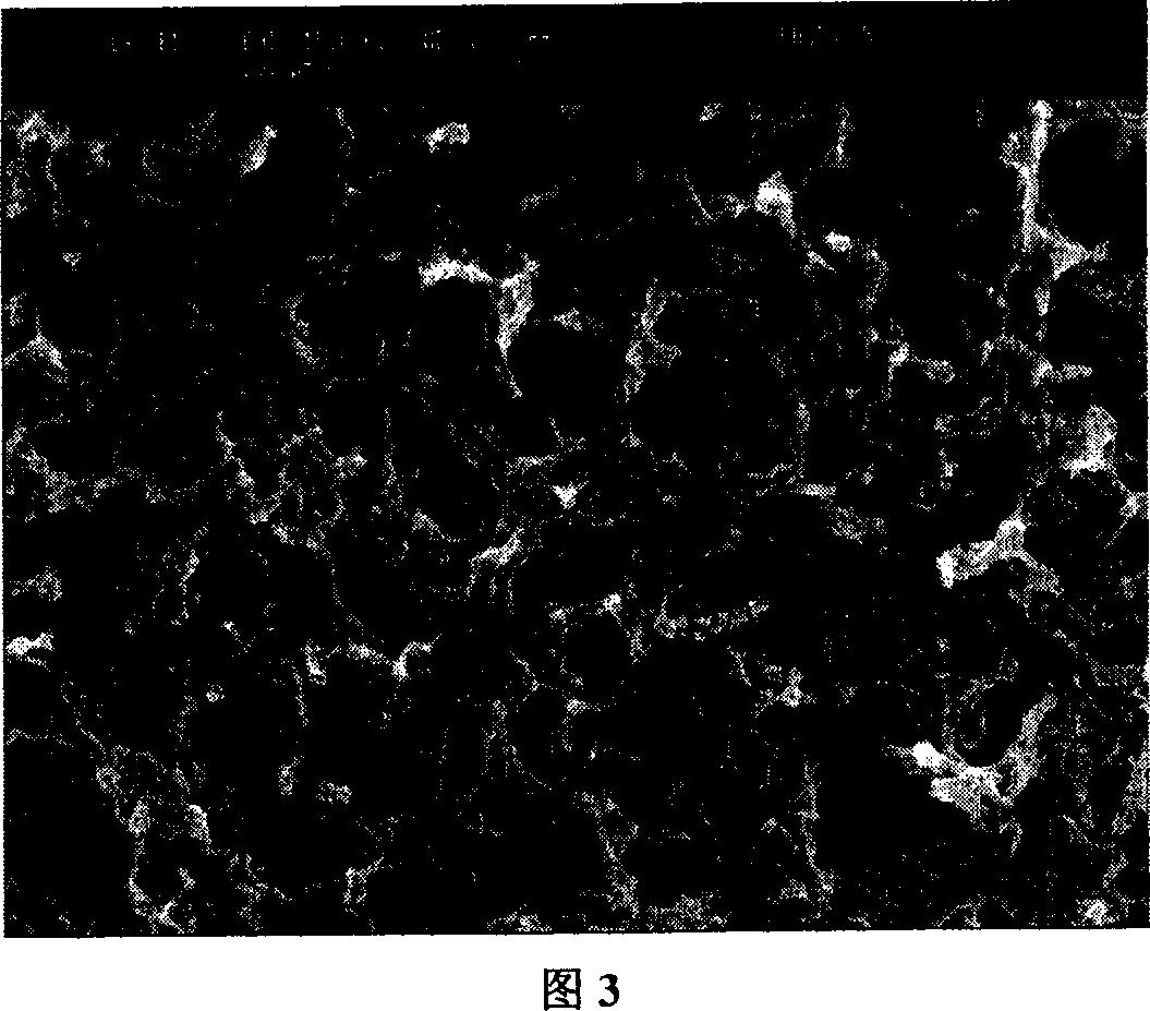 Process for preparing hybridized porous lithium ion cell electrolyte film