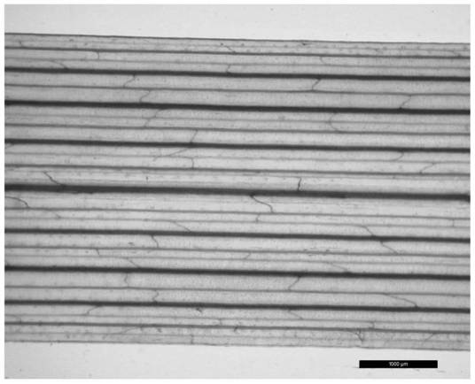 Mounting preparation method for observing vein network structure of turfgrass