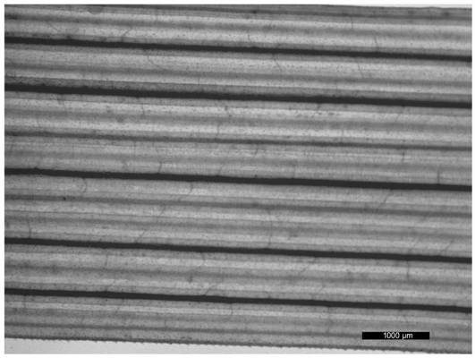 Mounting preparation method for observing vein network structure of turfgrass