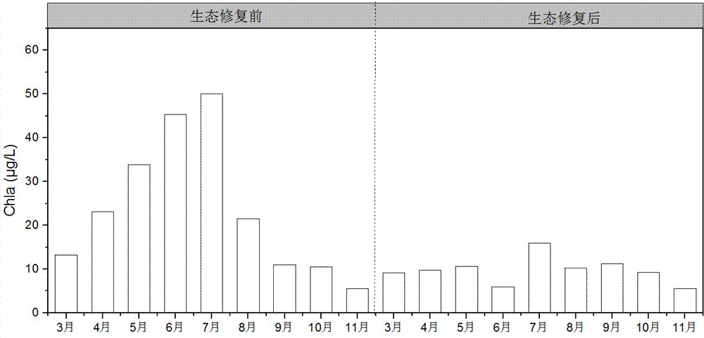 Method for controlling blue-algae bloom outbreak of urban landscape water