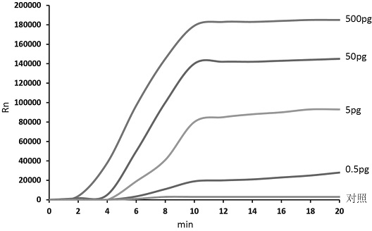 Nucleic acid antibody combined detection kit for pathogenic bacteria