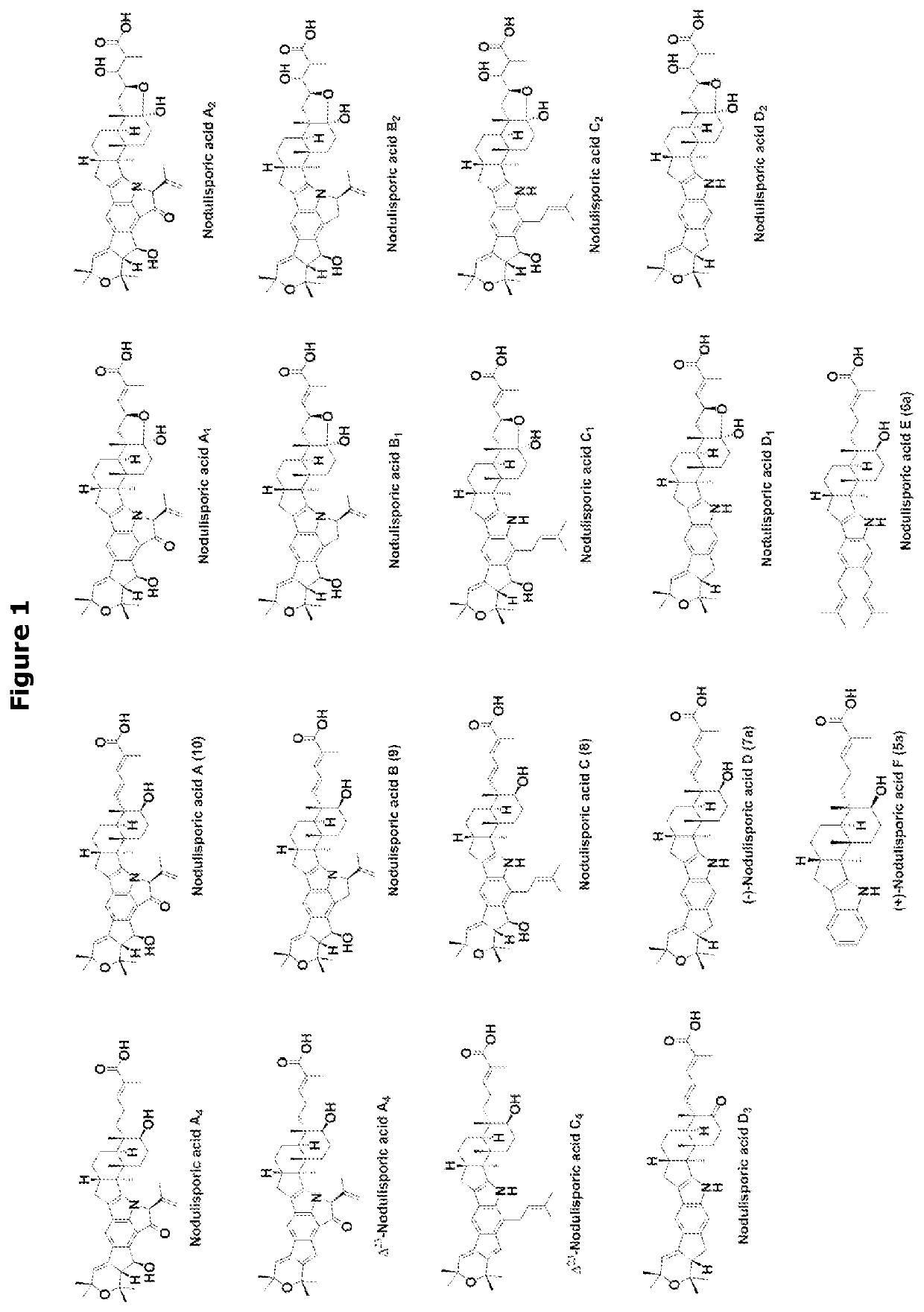 Heterologous biosynthesis of nodulisporic acid