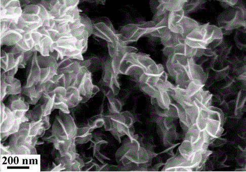 Molybdenum disulfide nanosheet/nitrogen-doped carbon fiber hybrid material and preparation method therefor