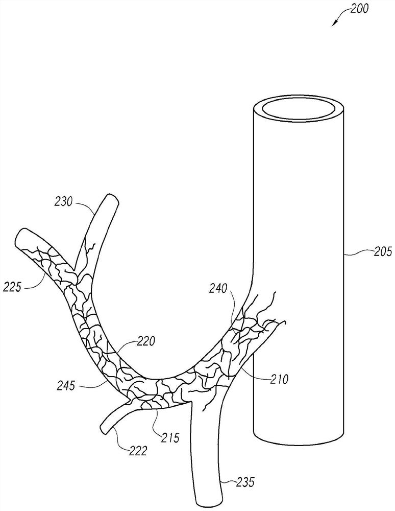 Therapeutic tissue conditioning devices and methods