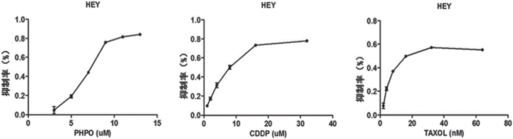 Application of allene compound, pharmaceutical composition containing the same and application thereof