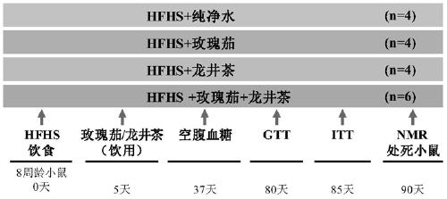 Roselle-Green Tea Composition for Amelioration of Diet-Induced Metabolic Disorders