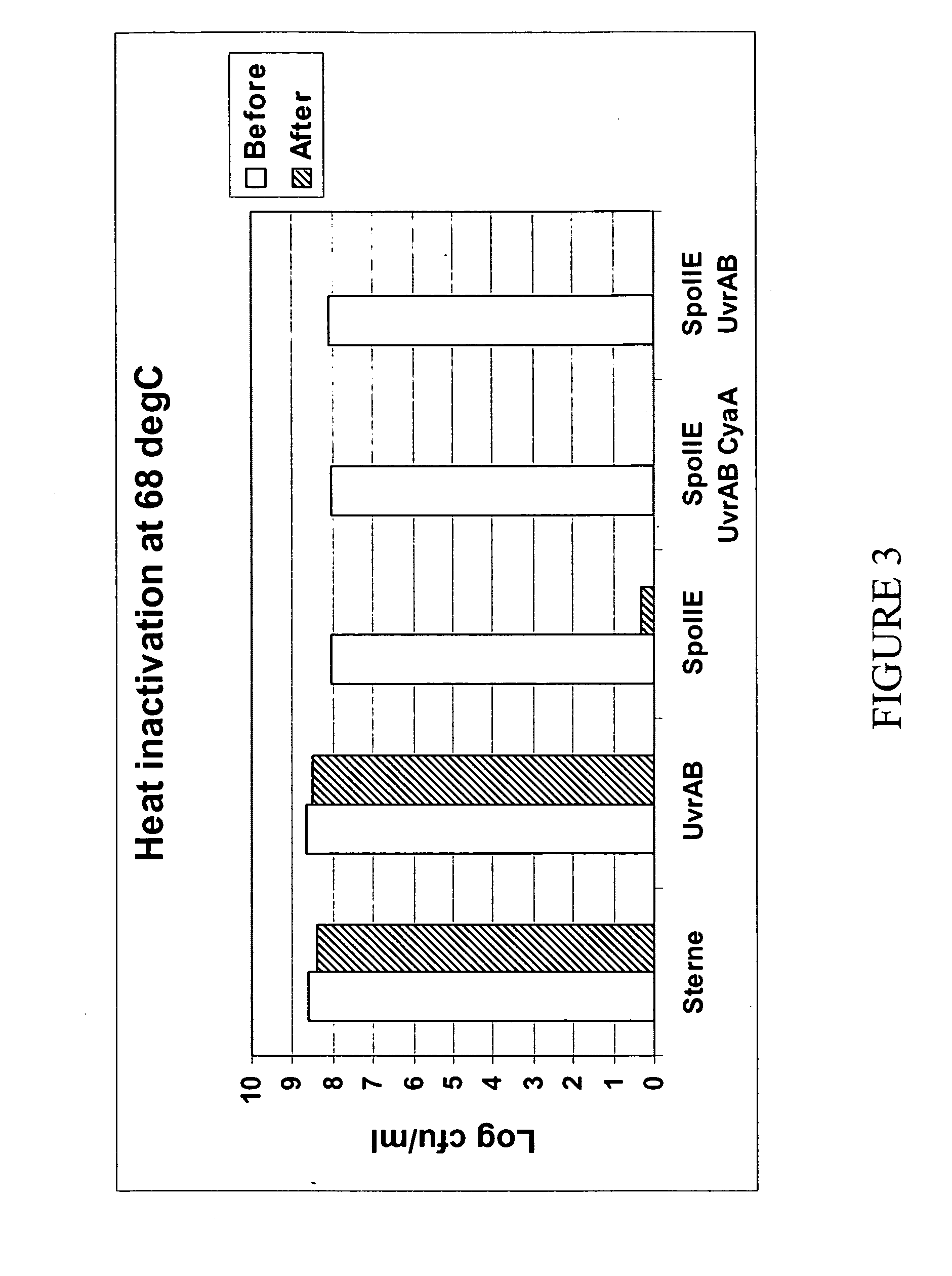 Modified Bacillus anthracis, vaccine compositions and methods of use thereof