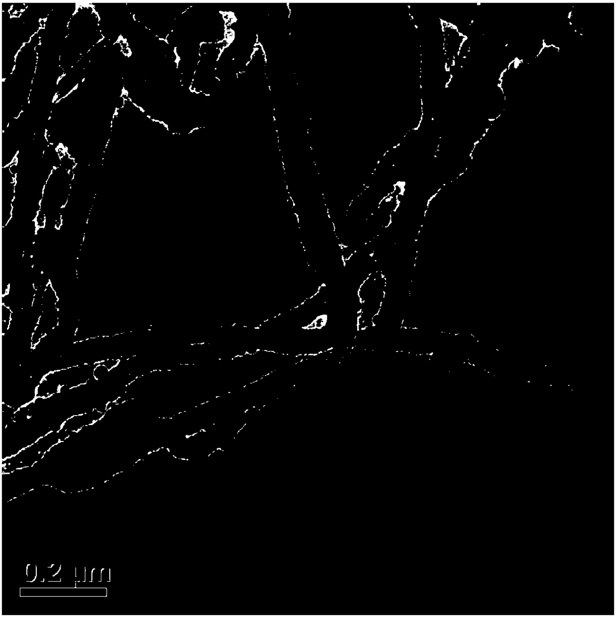 A noble metal-carbon nanotube three-dimensional porous composite and its preparation method and application