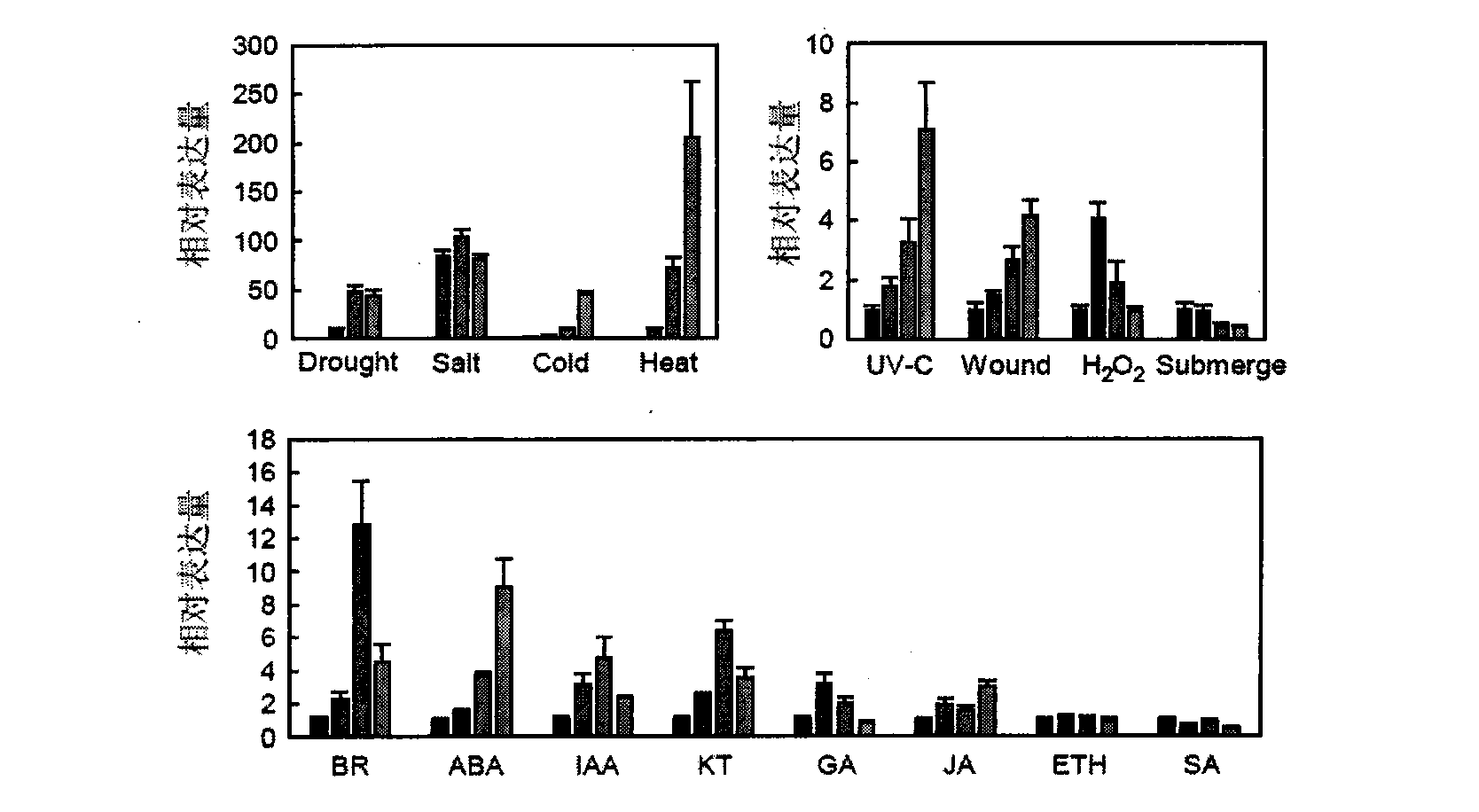 Application of OsSRO1c gene in controlling rice drought resistance