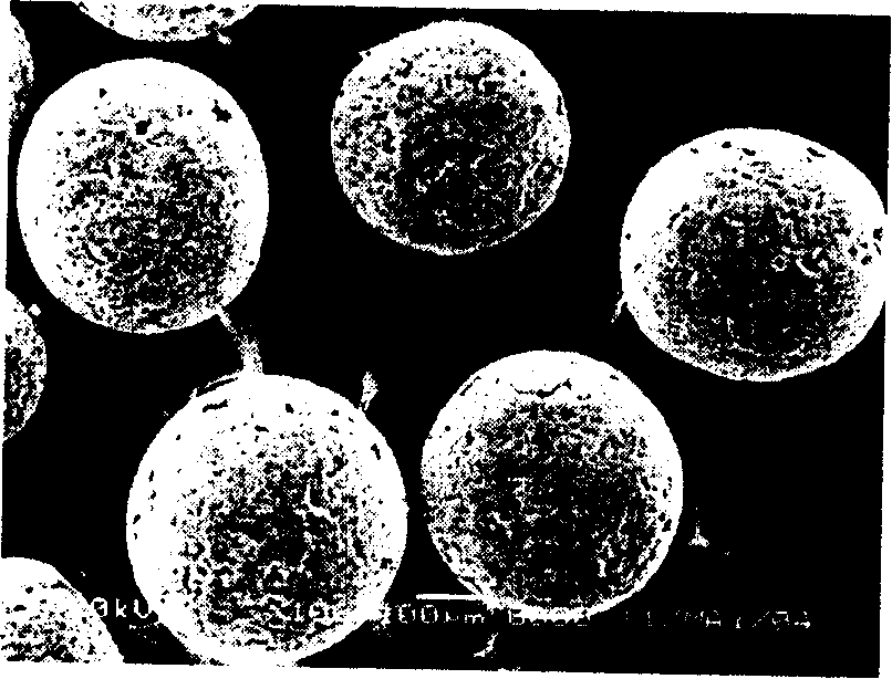 Method for preparing polylactic porous microball