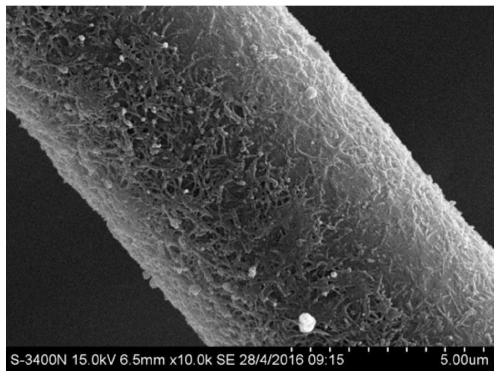 A kind of wave-absorbing material of carbon fiber surface coated magnetic ferrite nano carbon tube and its preparation method and application