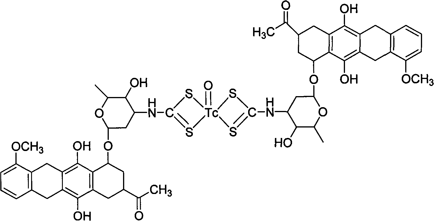 Tc marked daunorubicin dithiocarbamate composition and preparation method and applications thereof