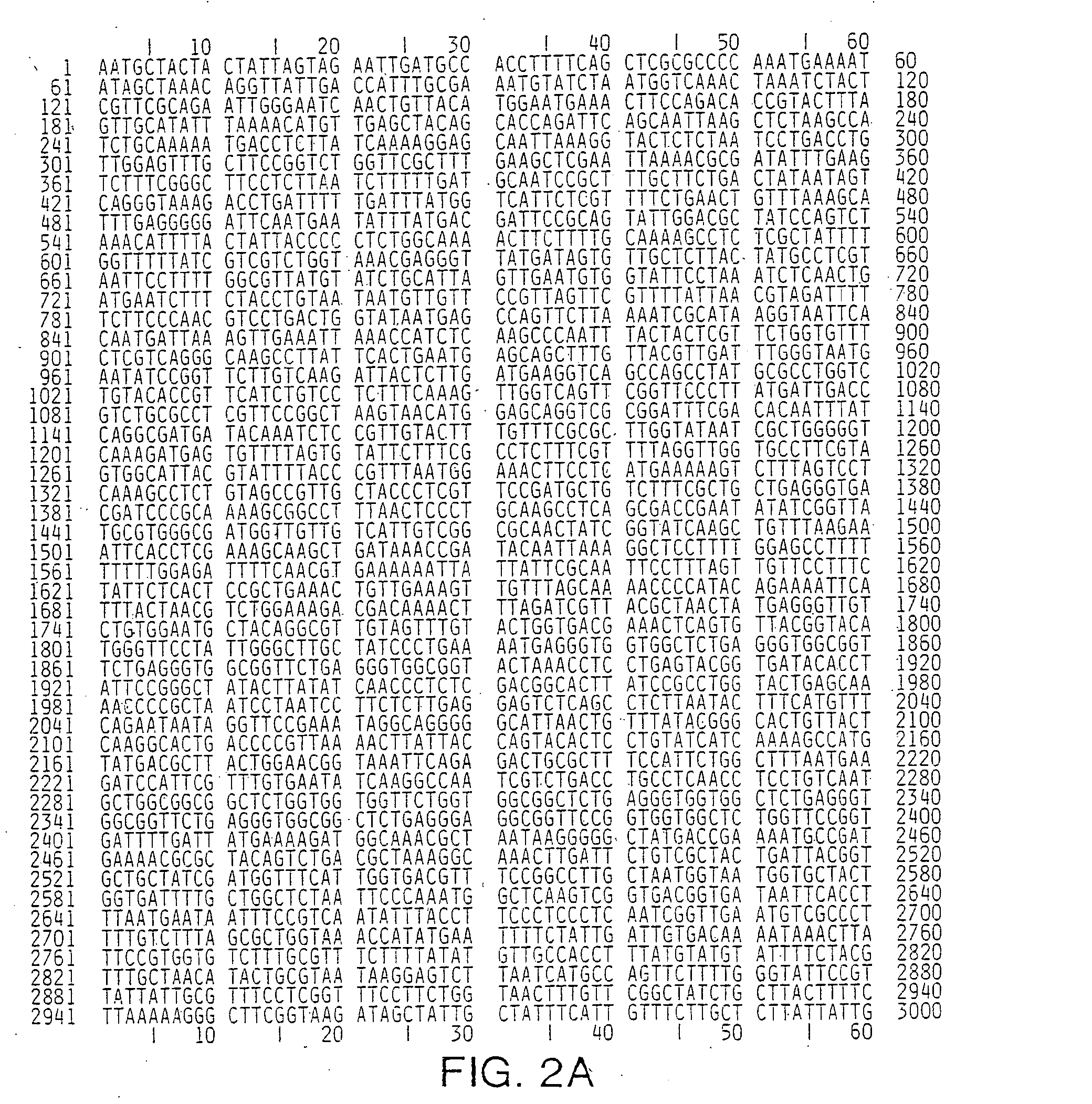 Surface expression libraries of heteromeric receptors