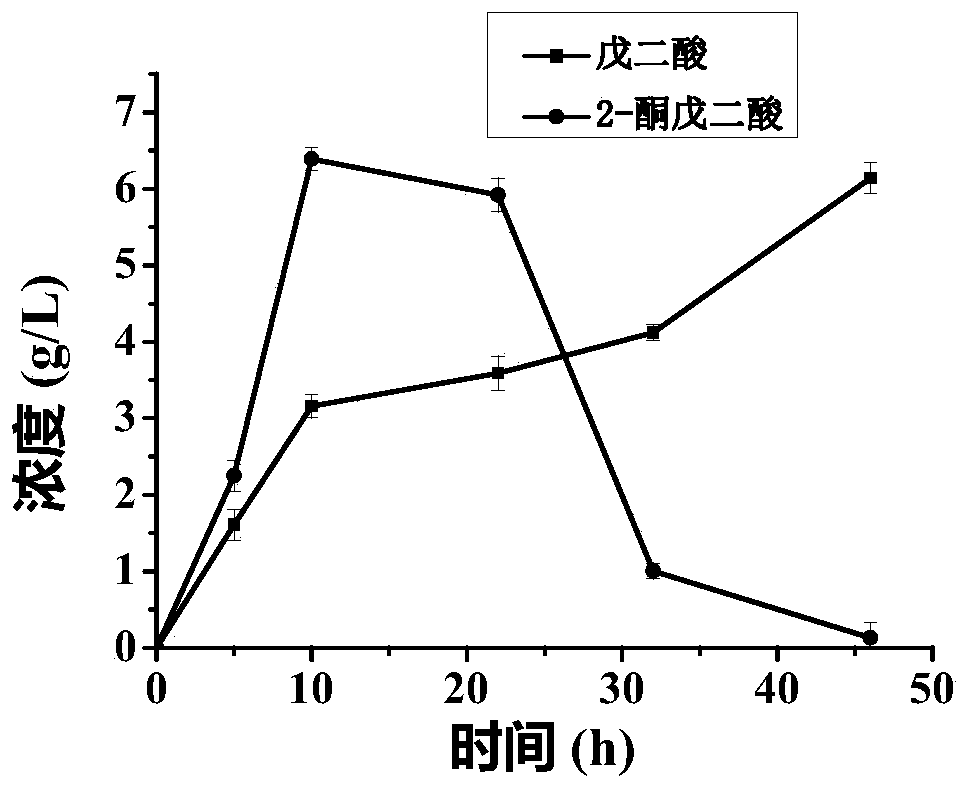 A method for whole-cell biocatalytic production of glutaric acid