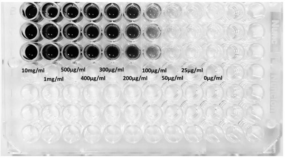 Method for rapidly screening high-yield caffeic acid strain with high throughput