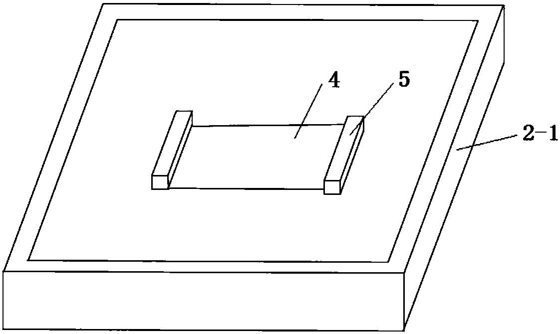 Acetone gas detector based on charge transfer and detection method thereof