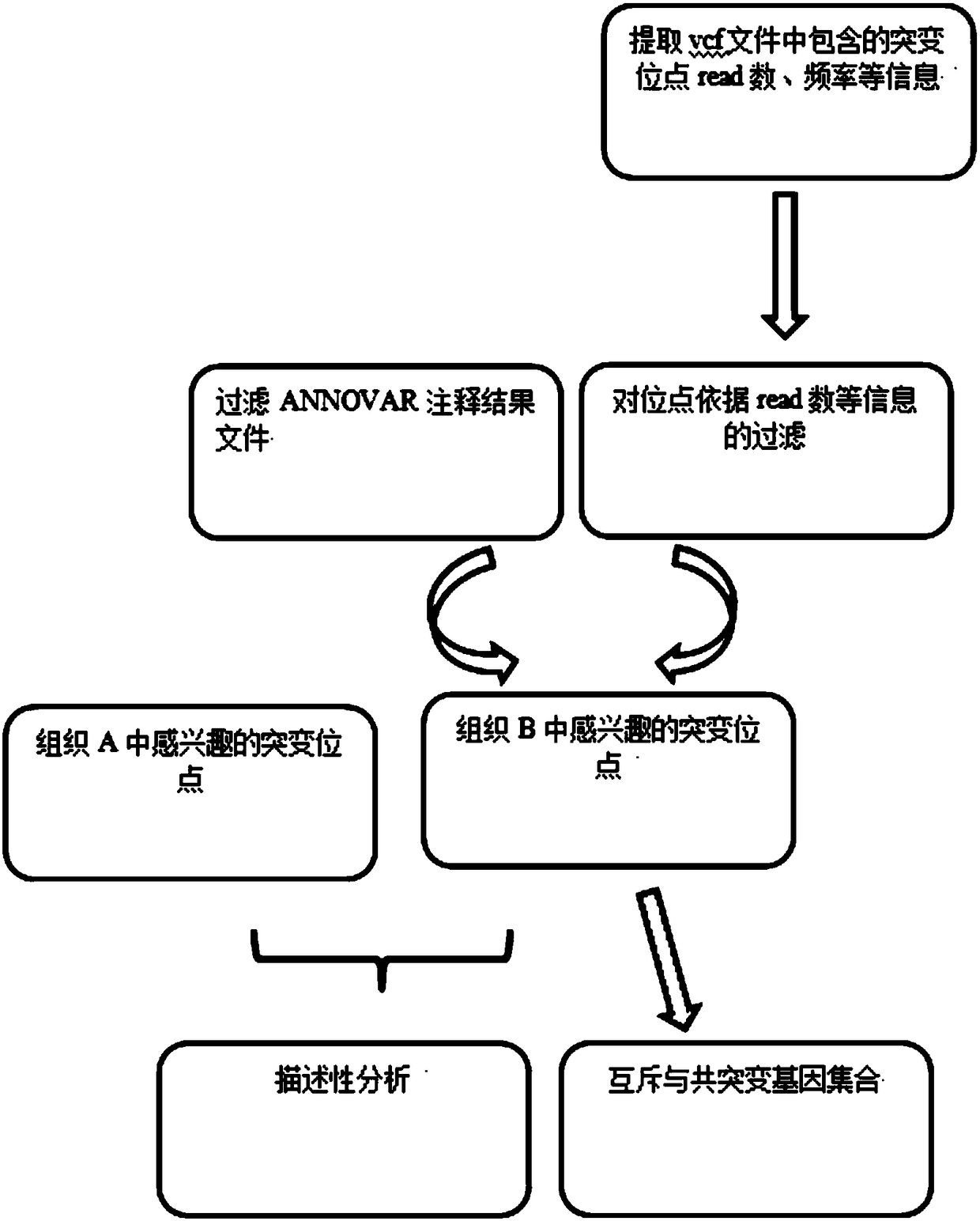 A system for screening tumor mutation sites and mining mutually exclusive genes