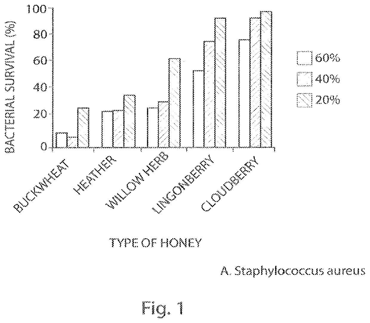 Buckwheat honey and bacitracin wound-healing dressing