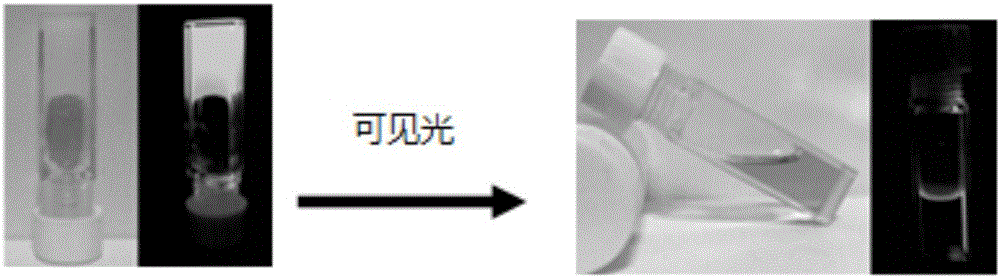 Organic gel material and preparation method thereof