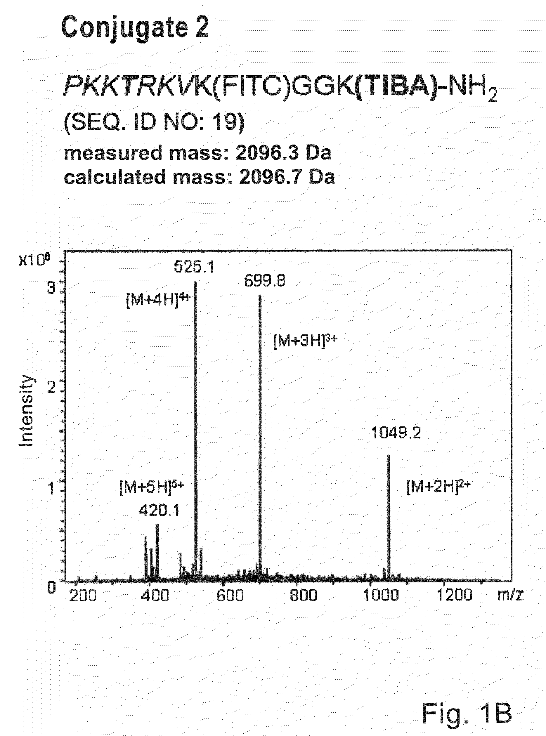 X-ray-dense conjugate