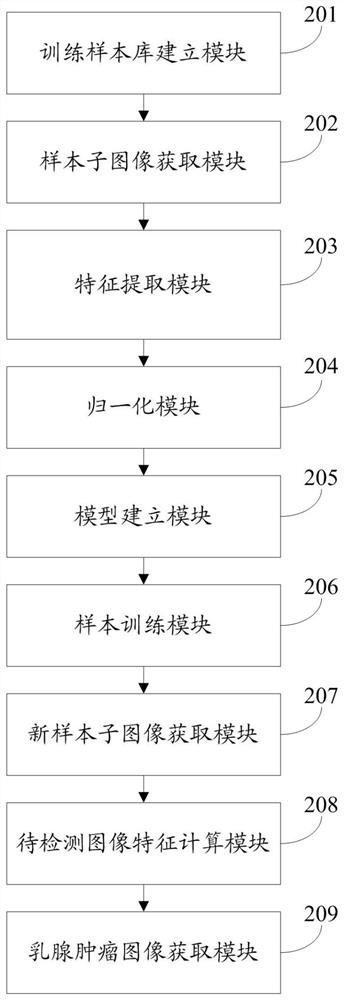 A breast tumor detection system and method based on fusion of ltp and hog features