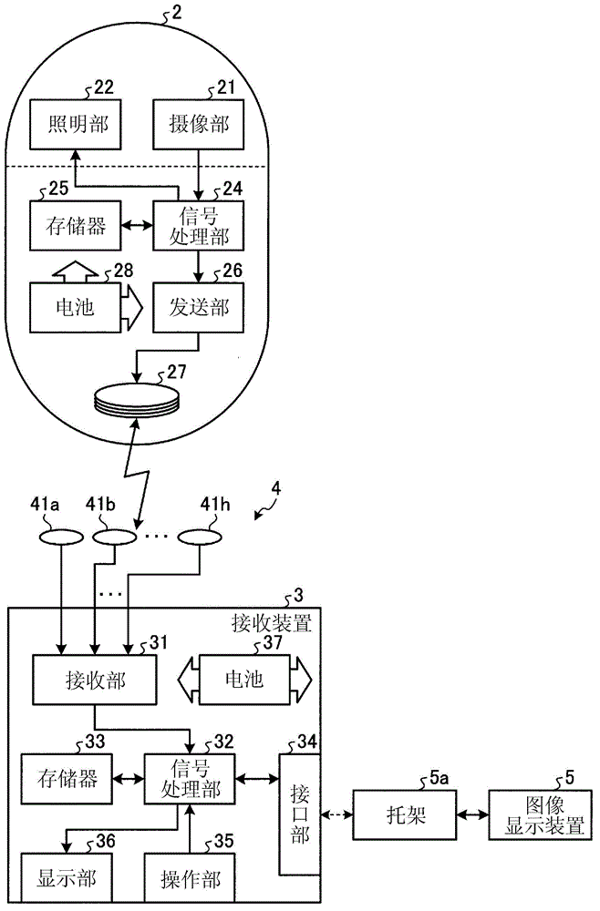 Image-display device and capsule-type endoscope system