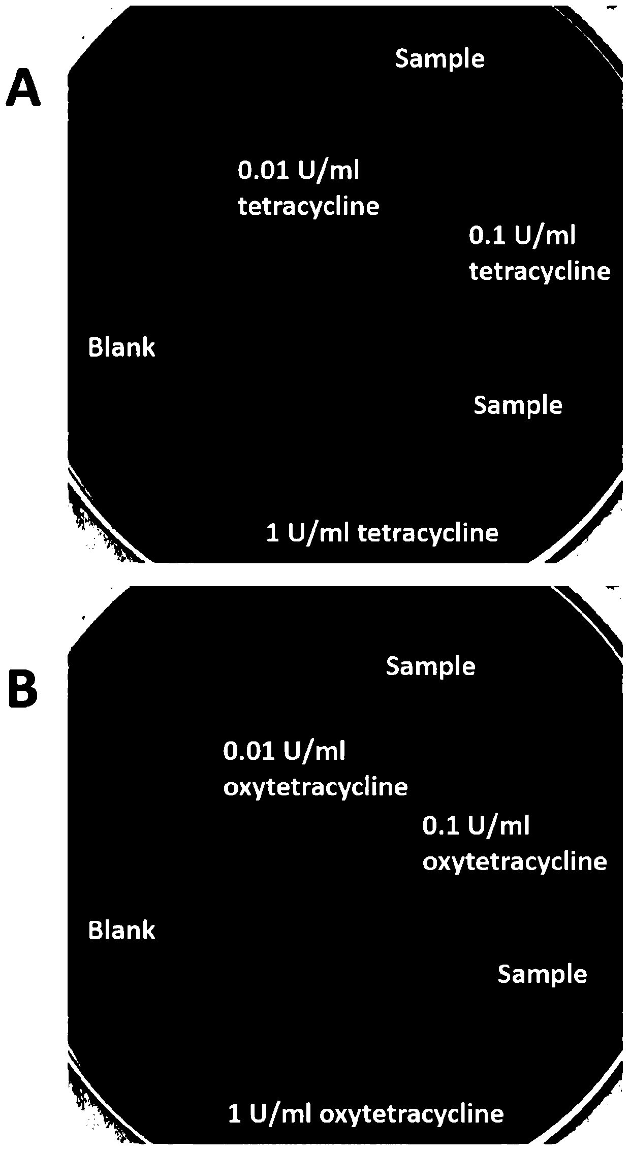 Method for Determination of Tetracycline Antibiotic Residues in Bovine Lung Surfactant Extract