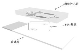 Preparation method of micro-fluidic chip detection device based on SERS substrate