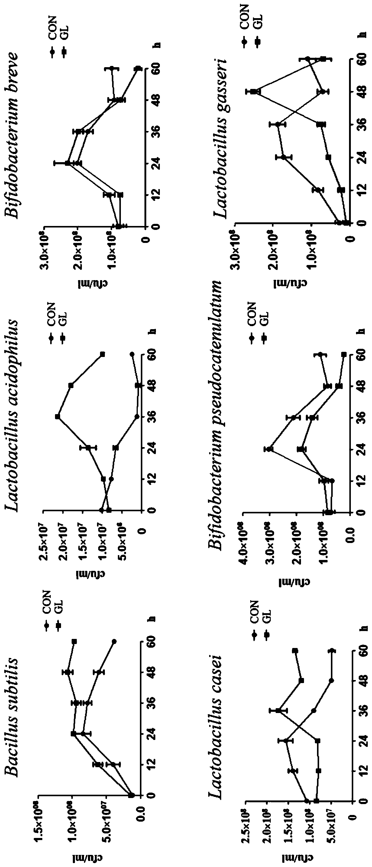 Ganoderma lucidum sporocarp microbial fermentation preparation for treating intestinal flora disorder and intestinal barrier function impairment