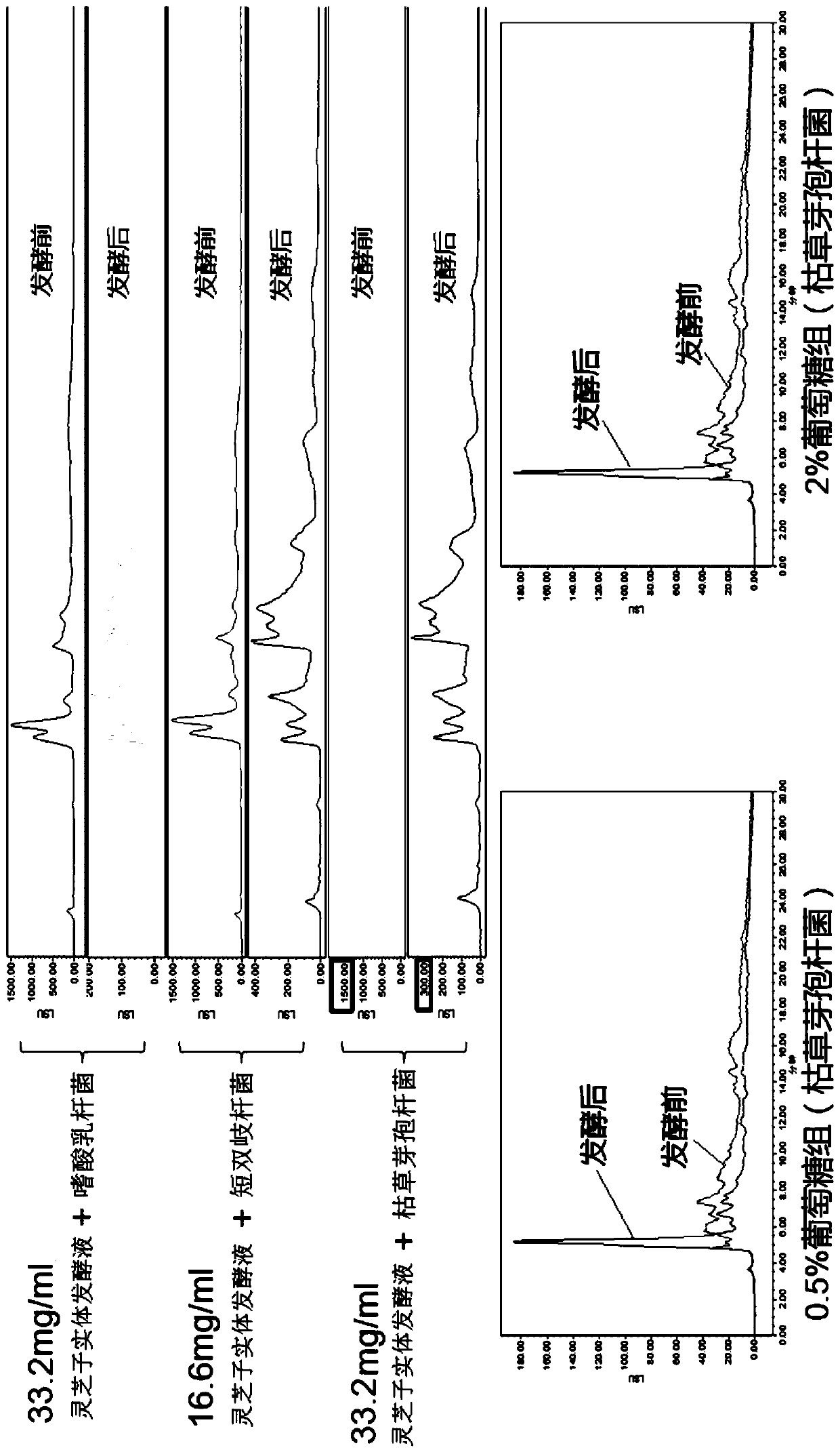 Ganoderma lucidum sporocarp microbial fermentation preparation for treating intestinal flora disorder and intestinal barrier function impairment