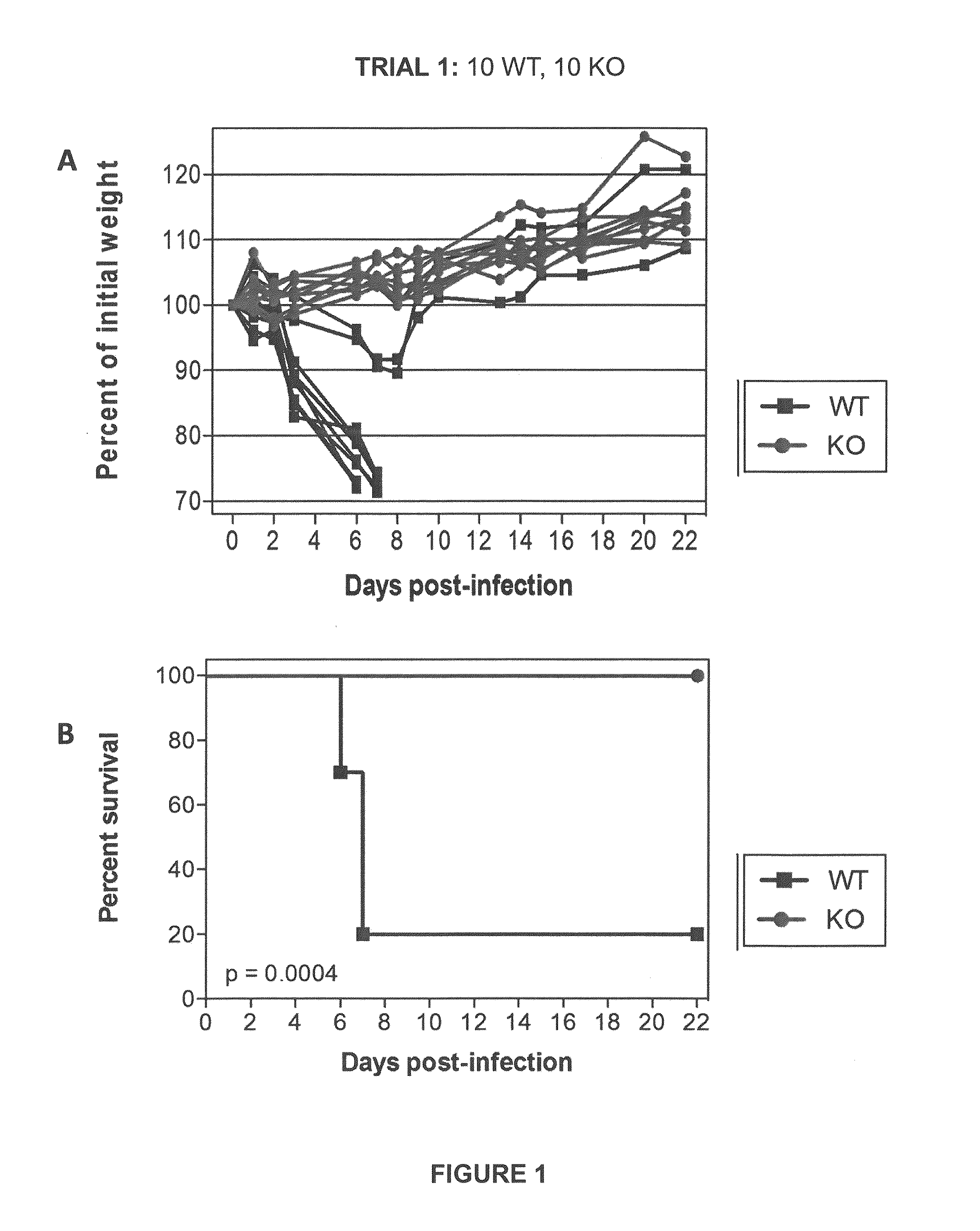 Methods for treating or preventing influenza virus infection by administering a serine protease inhibitor