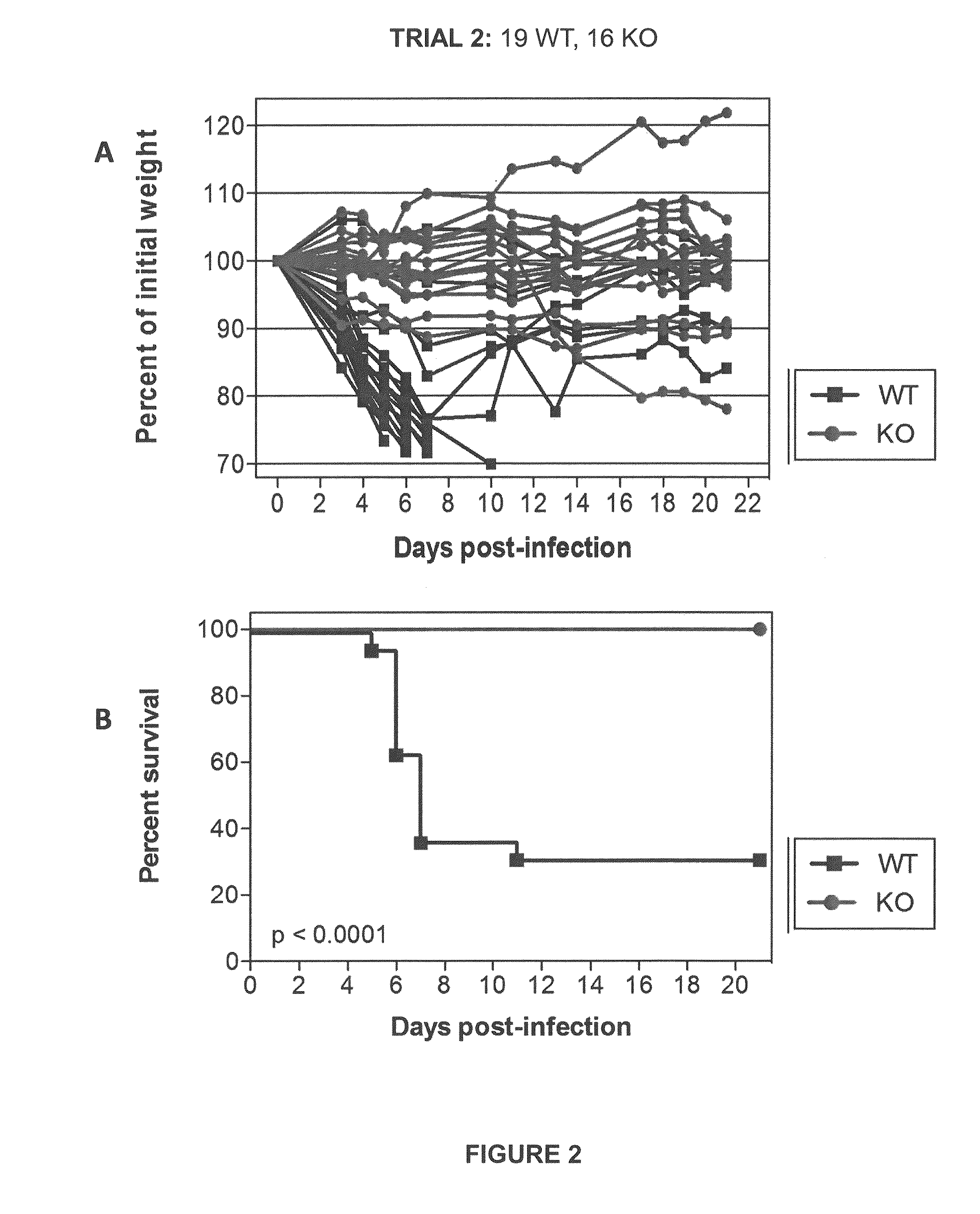 Methods for treating or preventing influenza virus infection by administering a serine protease inhibitor