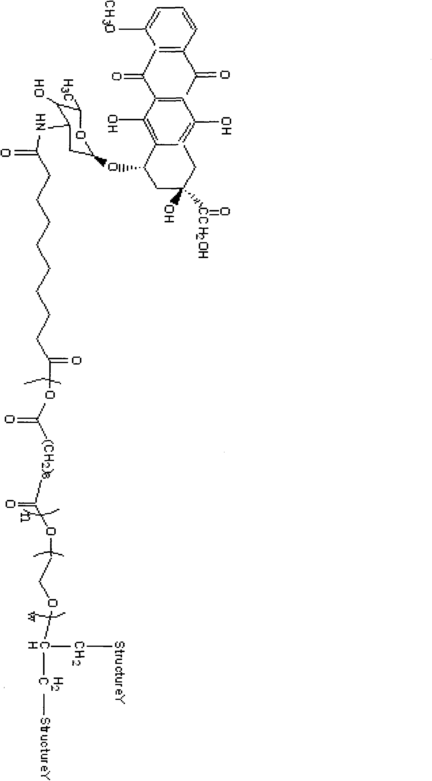 Nonlinear polymer having doxorubicin structure, and preparation method and application thereof