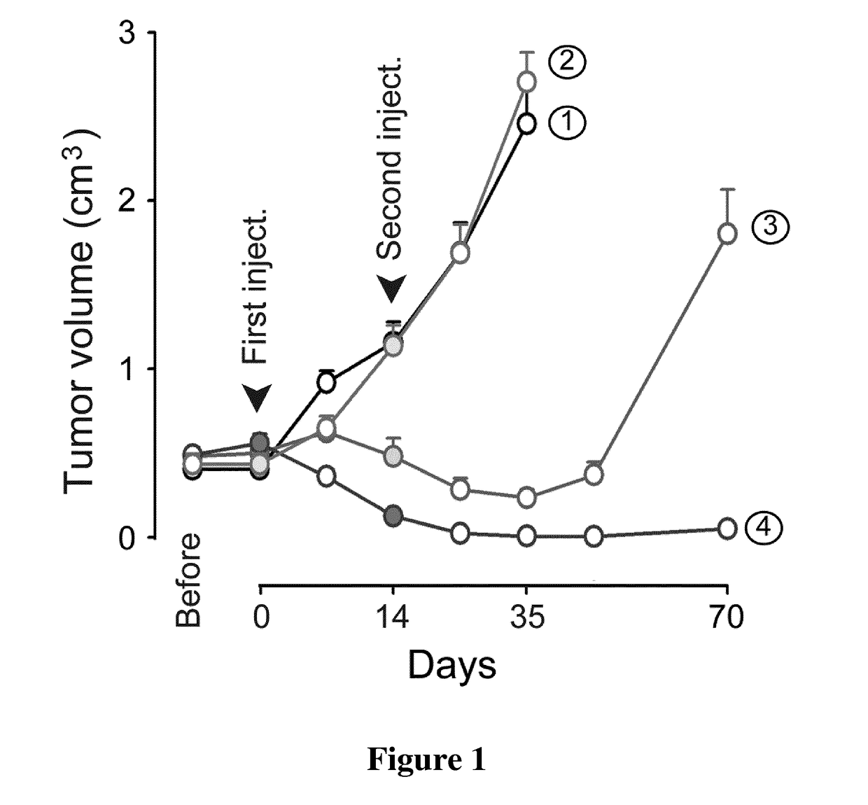 The use of a temporary inhibitor of p53 for preventing or reducing cancer relapse