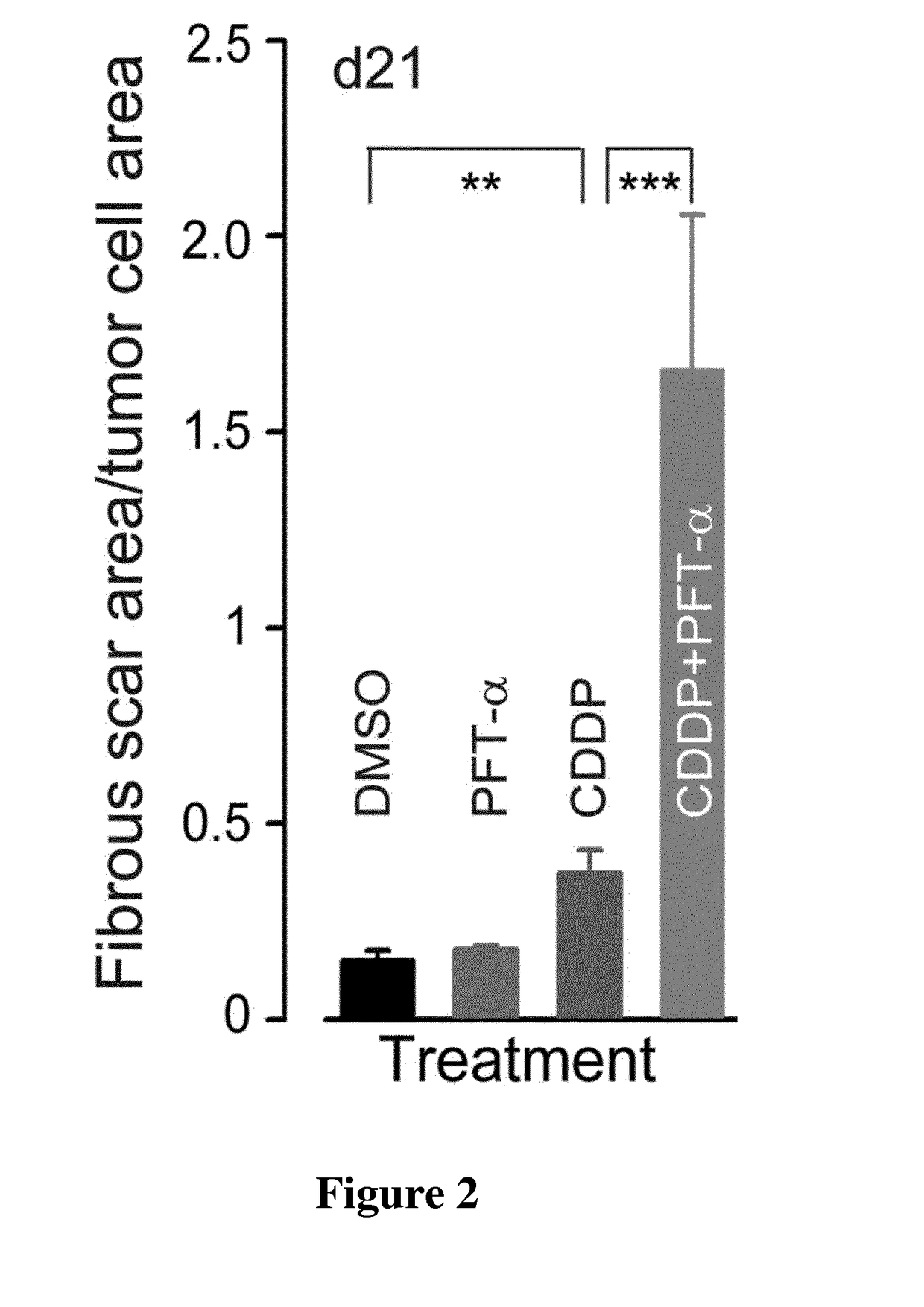 The use of a temporary inhibitor of p53 for preventing or reducing cancer relapse