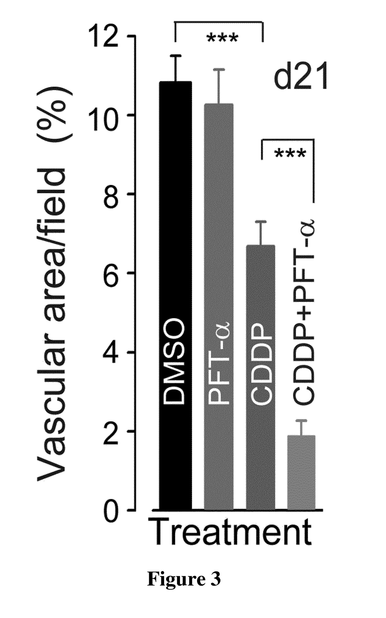 The use of a temporary inhibitor of p53 for preventing or reducing cancer relapse