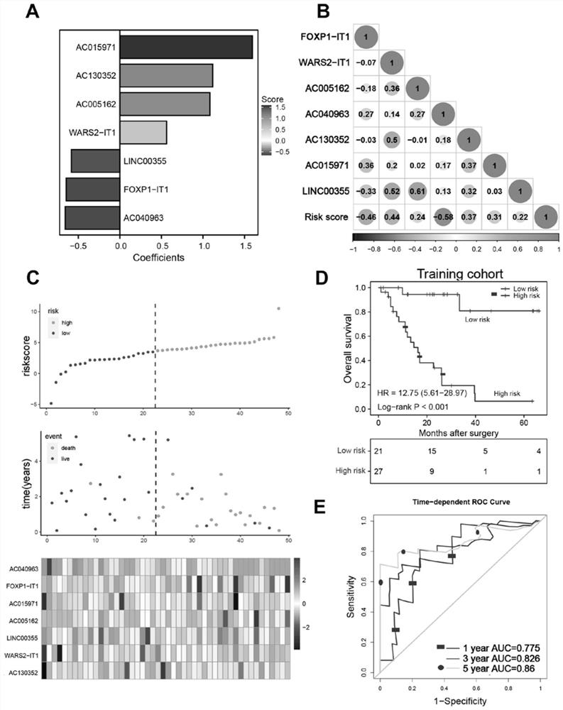 Application of m6A related lncRNA in predicting prognosis and chemotherapy response of small cell lung cancer