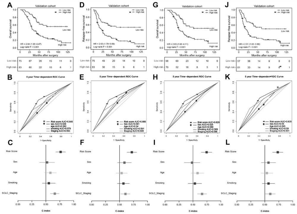 Application of m6A related lncRNA in predicting prognosis and chemotherapy response of small cell lung cancer