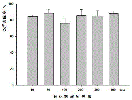 Passivating agent for weakly acidic cadmium contaminated soil and application thereof