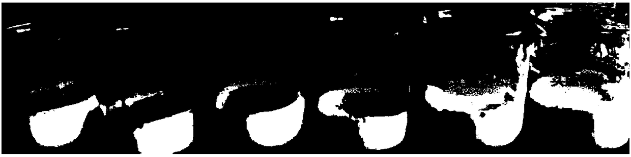 De-muttony goat milk composition, de-muttony goat milk containing de-muttony goat milk composition, and goat milk product