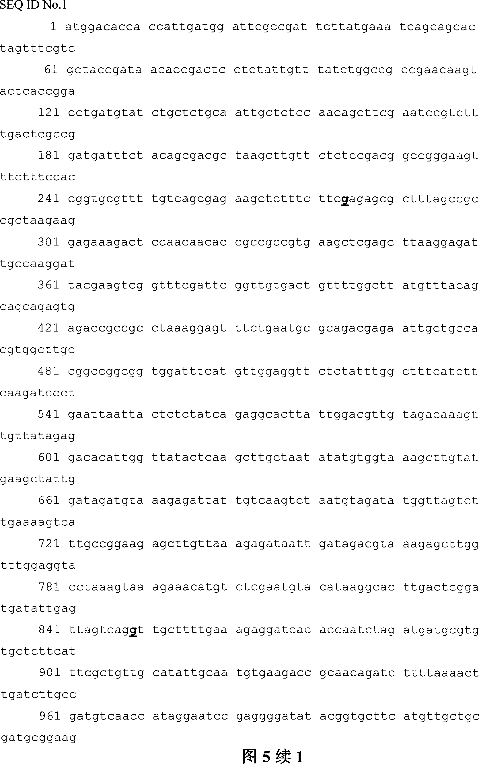 DNA multi-point directed mutation method