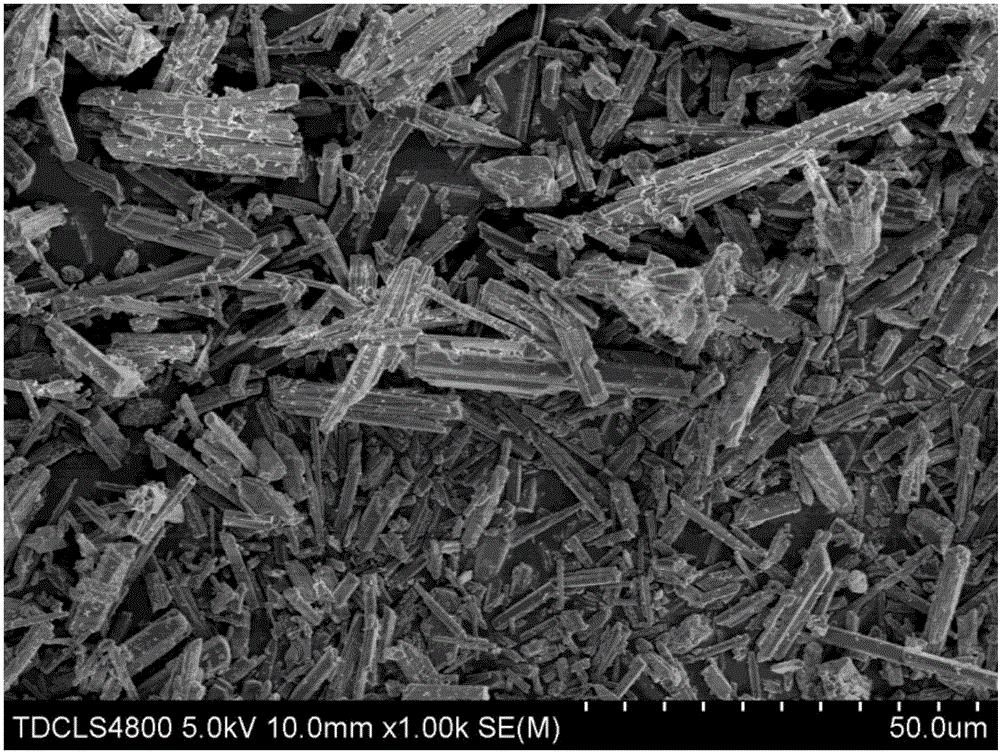 Calcium salt bone cement and preparation method thereof