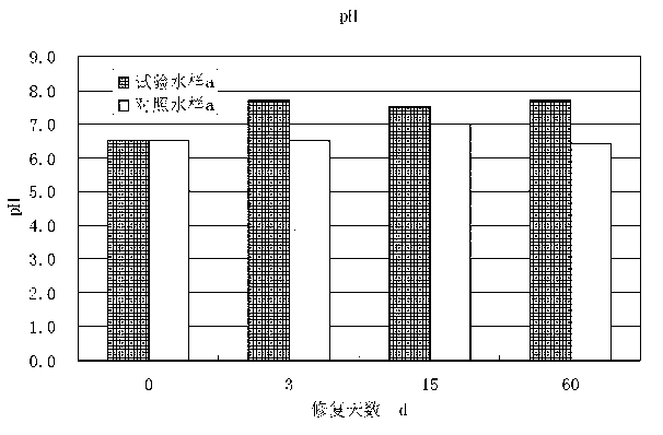 Contaminated water body bottom mud reoxygenation type repairing agent, preparation method and applications thereof