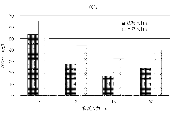 Contaminated water body bottom mud reoxygenation type repairing agent, preparation method and applications thereof