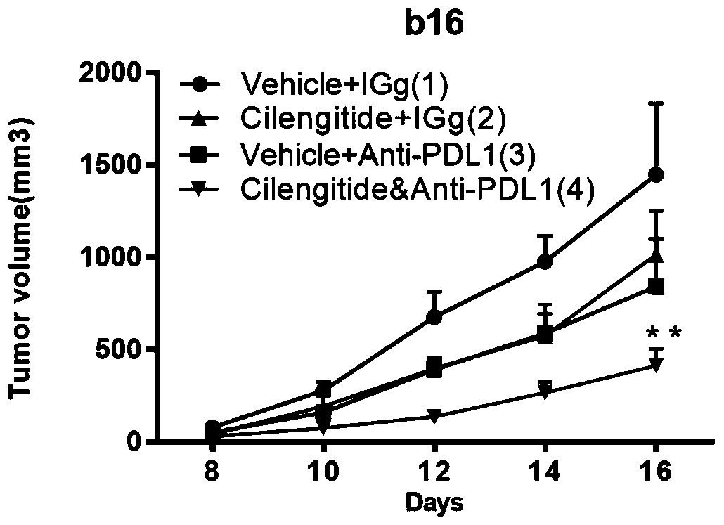 Combined pharmaceutical preparation for treating melanoma, lung cancers or colorectal cancers