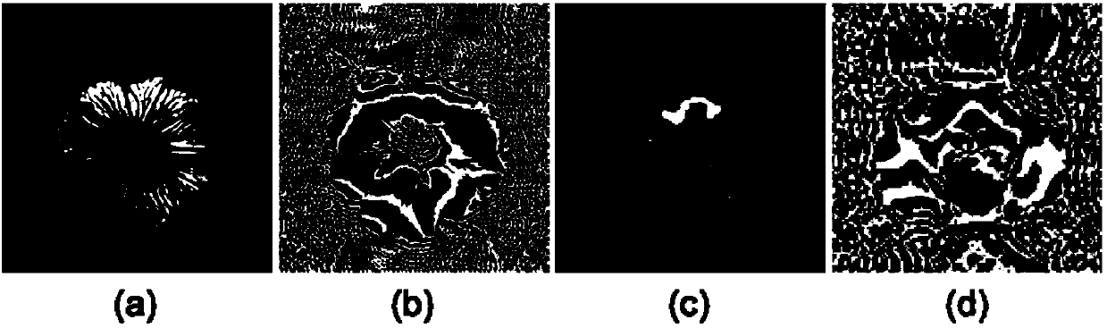 A Correction Method for Magnetic Resonance Image Distortion Under Strong Inhomogeneous Magnetic Field