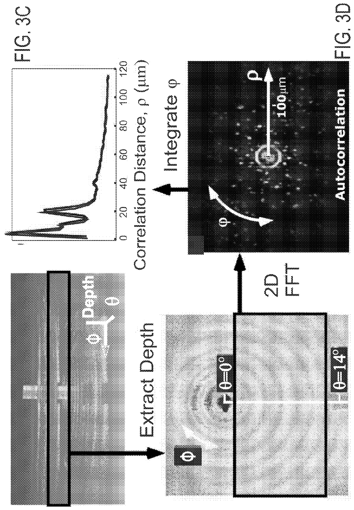 Systems and methods of angle-resolved low coherence interferometry based optical correlation