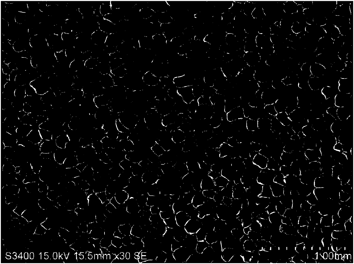 Foaming section bar of multi-point positive feedback springback material with memorability and preparation method thereof