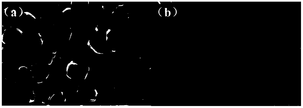 Preparation method of nickel-cobalt oxide electrode material supported by titanium dioxide nanotube array